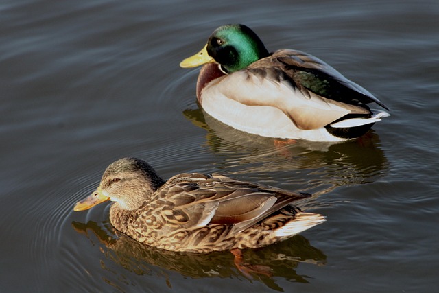 10 klassiske krydsordstricks, du skal kende